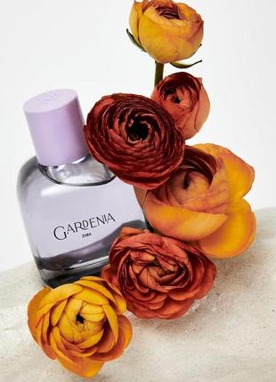 Жіноча парфумована вода парфуми зара zara gardenia 90 ml limited edition іспанія1 фото