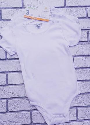 Фірмові боді