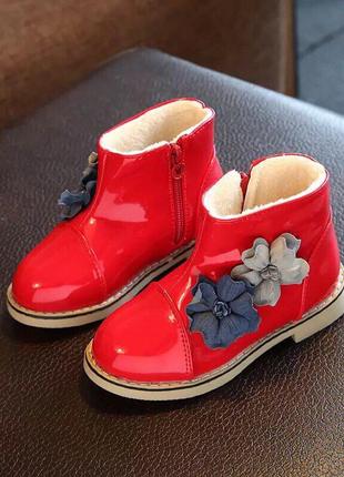 Черевики чоботи демі