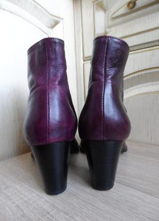 Жіночі демісезонні черевики, ботильйони, чоботи venturini, 39р. італія3 фото