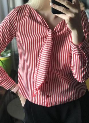 Котонова сорочка, блуза в полоску primark3 фото