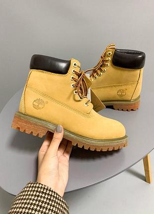Шикарні жіночі осінні черевики timberland ginger 😍 (без хутра/ термо/ еврозима)