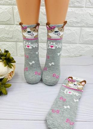 Шкарпетки для дівчинки з собачкою бавняні турецькі
