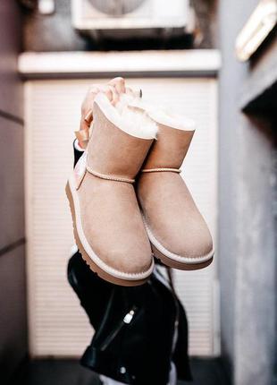 Сапожки ugg mini bailey bow ii  с натуральным мехом овчины /осень/зима/весна😍6 фото