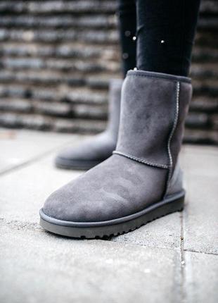 Шикарные зимние сапоги ugg short ii grey с мехом овчины /осень/зима/весна😍2 фото