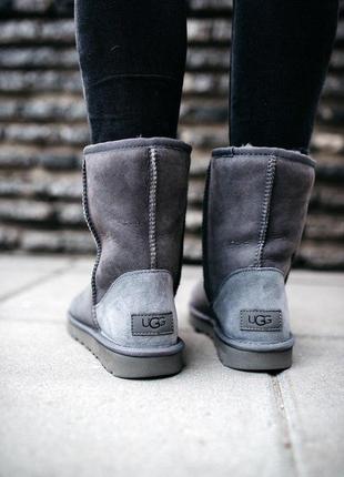 Шикарные зимние сапоги ugg short ii grey с мехом овчины /осень/зима/весна😍3 фото