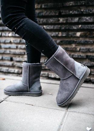 Шикарные зимние сапоги ugg short ii grey с мехом овчины /осень/зима/весна😍4 фото