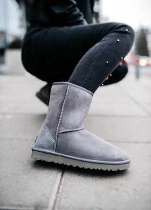 Шикарные зимние сапоги ugg short ii grey с мехом овчины /осень/зима/весна😍8 фото