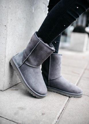 Шикарные зимние сапоги ugg short ii grey с мехом овчины /осень/зима/весна😍9 фото