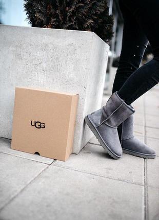 Шикарные зимние сапоги ugg short ii grey с мехом овчины /осень/зима/весна😍10 фото