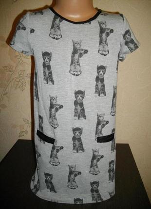Платье  с котиками * i love next* плотненький трикотаж, 5 лет (110 см)