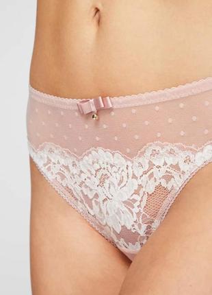 Вишукані бріфи kleo5 фото