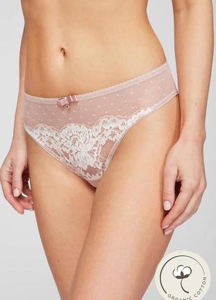 Вишукані бріфи kleo6 фото