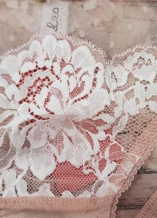 Вишукані бріфи kleo2 фото