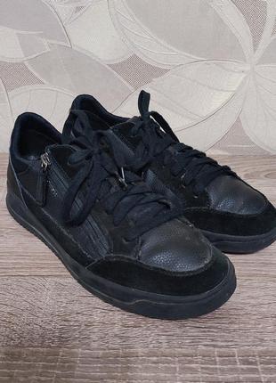 Мужские кожаные кроссовки geox size 41/26.52 фото