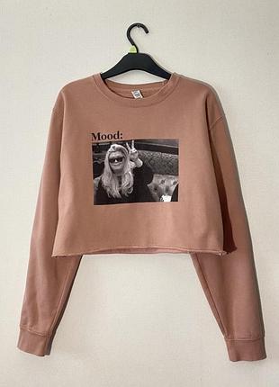 Вкорочений, світшот, пуловер, джемпер, кофта, колір пудри, чайної троянди, настрій, оверсайз, толстовка, mood, zara,