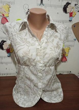Сорочка, рубашка, блуза