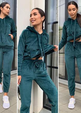 Роскошный велюровый плюшевый спортивный костюм  пудровый черный серый зелёный голубой бордовый коричневый брюки штаны джоггеры кофта свитшот свитер