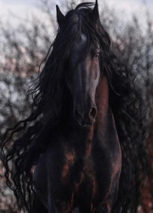 Алмазна мозаїка dreamtoys фризький жеребець, на підрамнику 30*40см, (y0101)