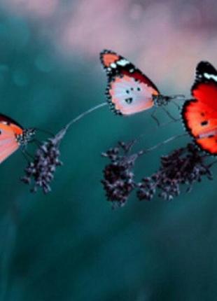 Набір для творчості діамантова мозаїка "тотем лева", 30*40 см, без рамки, h8758