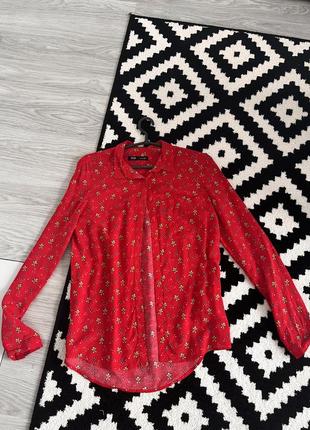 Сорочка з святковим принтом