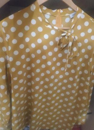 Блуза, блузка