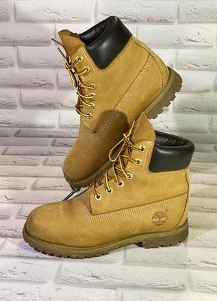 Черевики timberland