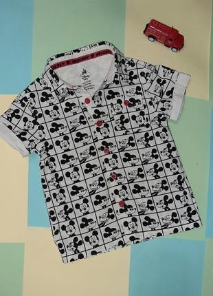 Стильна та гарна сорочечка з міккі