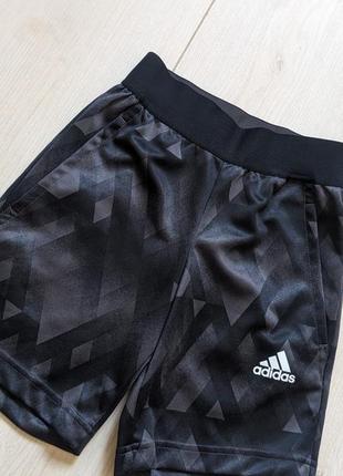 Спортивные шорты adidas2 фото