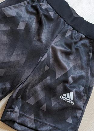 Спортивные шорты adidas3 фото