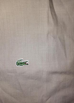 Женская рубашка lacoste8 фото