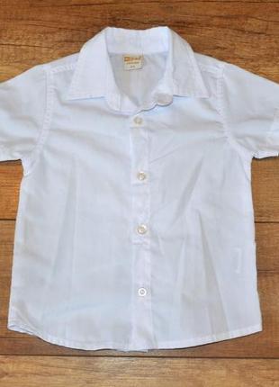 Рубашка, рубашка летнего мальчишки baby grant collection на 2-3 года, 92-98 см1 фото