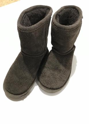 Угги bearpaw