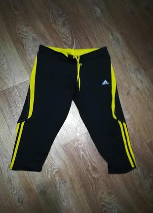 Фирменные бриджи adidas clima lite