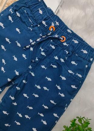 Шорти для хлопчика шортики шорты синие акулы kiki&amp;koko р.110-1164 фото