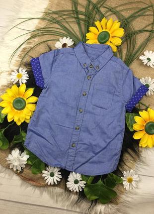 Синяя тенниска на 3-4 года