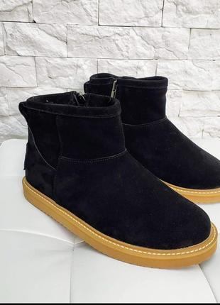 Mini ugg уггі натуральна замша італійська3 фото