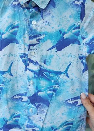 Рубашка с коротким рукавом на мальчика