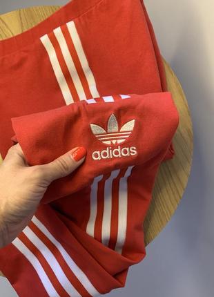 Лосины adidas2 фото