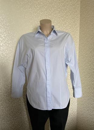 Блакитна сорочка з хрусткої бавовни dorothee shumacher