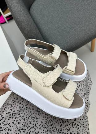 Бежеві босоніжки на липучках зі шкіри з тисненням під рептилію багато кольорів