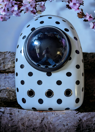 Рюкзак переноска для котів та собачок, контейнер з ілюмінатором