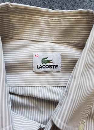 Рубашка на лето бежевая lacoste. m/l2 фото