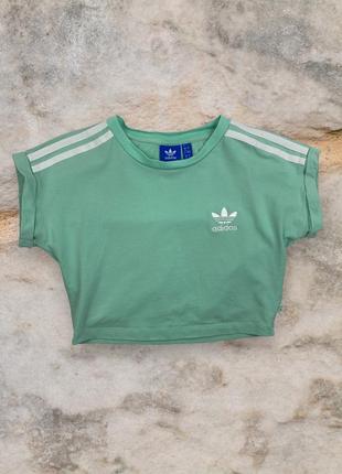 Кроп топ футболка adidas женская зеленая