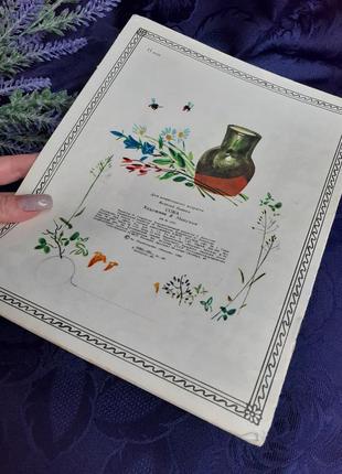 1982 год! 🦉📚 сова виталий бианки издательство малыш детская книжка для дошкольного...