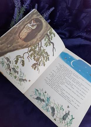 1982 год! 🦉📚 сова виталий бианки издательство малыш детская книжка для дошкольного...