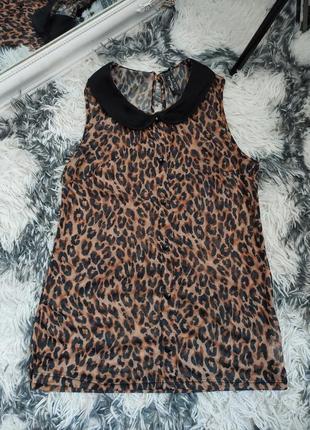 Блуза у леопардовый принт прозрачная блузка блузочка1 фото