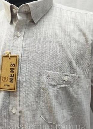 Шведка чоловіча nens світло-бежева з кишенею, батал 3xl,