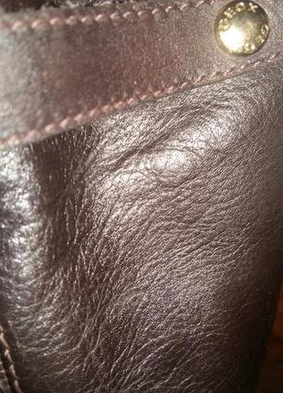 Женские кожаные демисезонные сапожки от известного бренда..2 фото