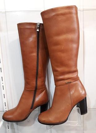 Чоботи carinii